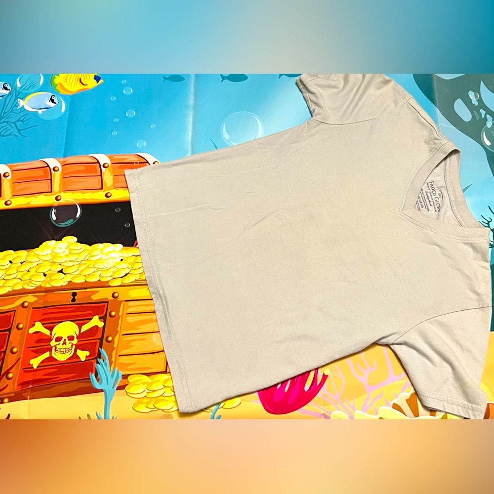 Gray v neck T